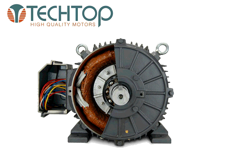 Techtop Electric Motor